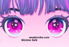9Anime Safe