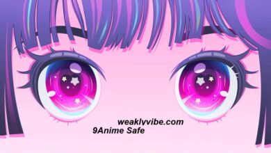 9Anime Safe